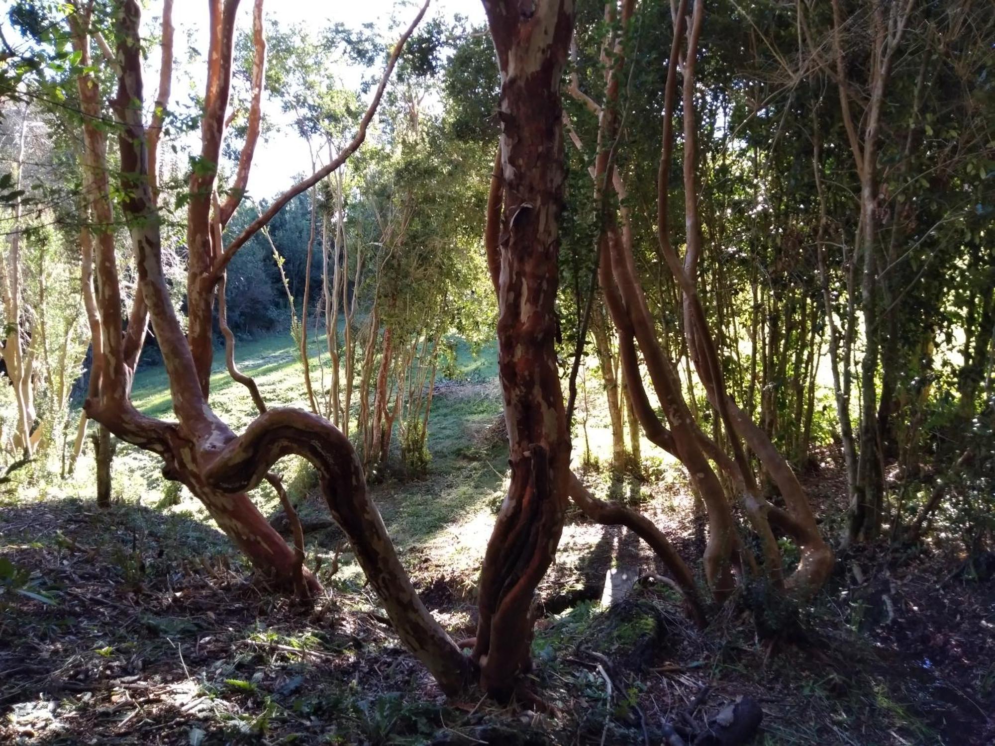 普耶韦埃尔泰克旅舍别墅 外观 照片